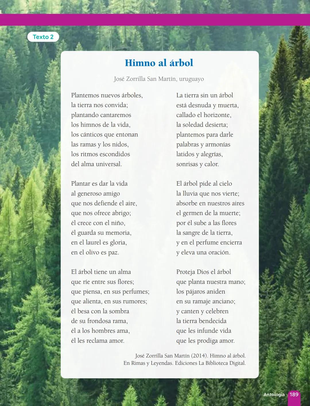 TEXTO DEL ESTUDIANTE
Lenguaje y
Comunicación
Fabián Fernández López
Cielo Ospina Canencio
Paula Rivera Donoso
Natalia Romero Quintanilla
Ant