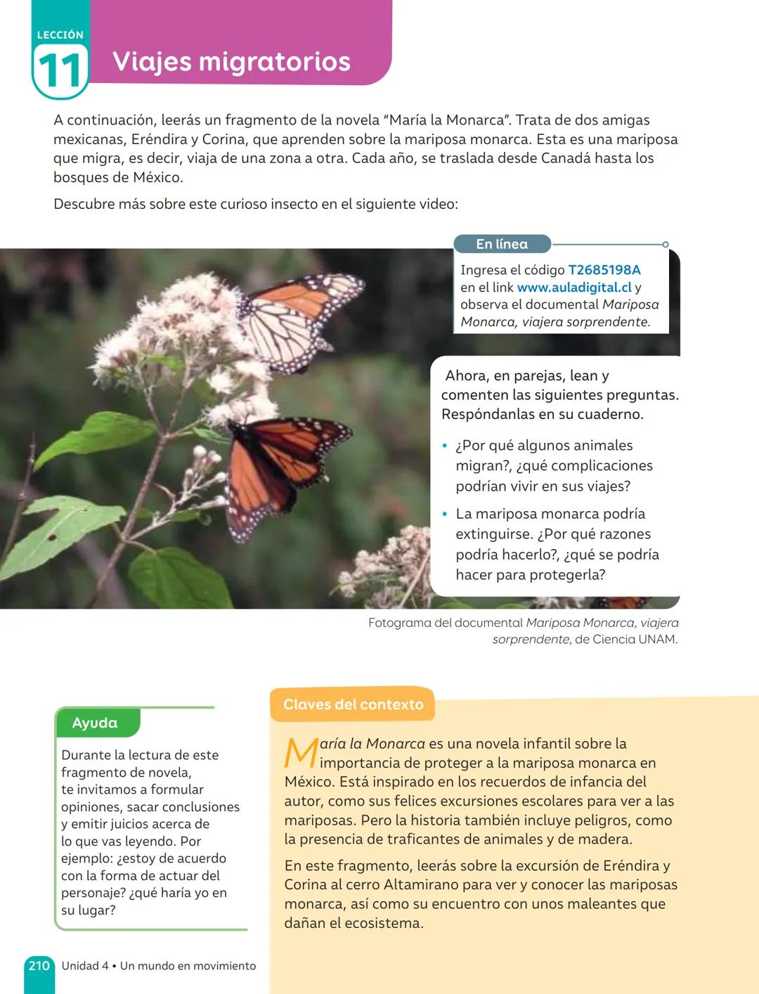 TEXTO DEL ESTUDIANTE
Lenguaje y
Comunicación
Fabián Fernández López
Cielo Ospina Canencio
Paula Rivera Donoso
Natalia Romero Quintanilla
Ant