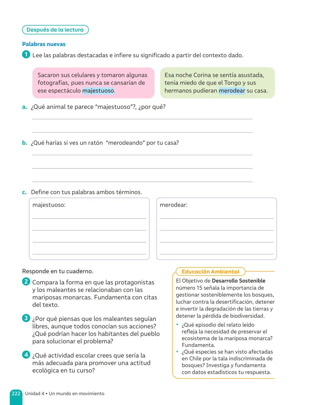 TEXTO DEL ESTUDIANTE
Lenguaje y
Comunicación
Fabián Fernández López
Cielo Ospina Canencio
Paula Rivera Donoso
Natalia Romero Quintanilla
Ant