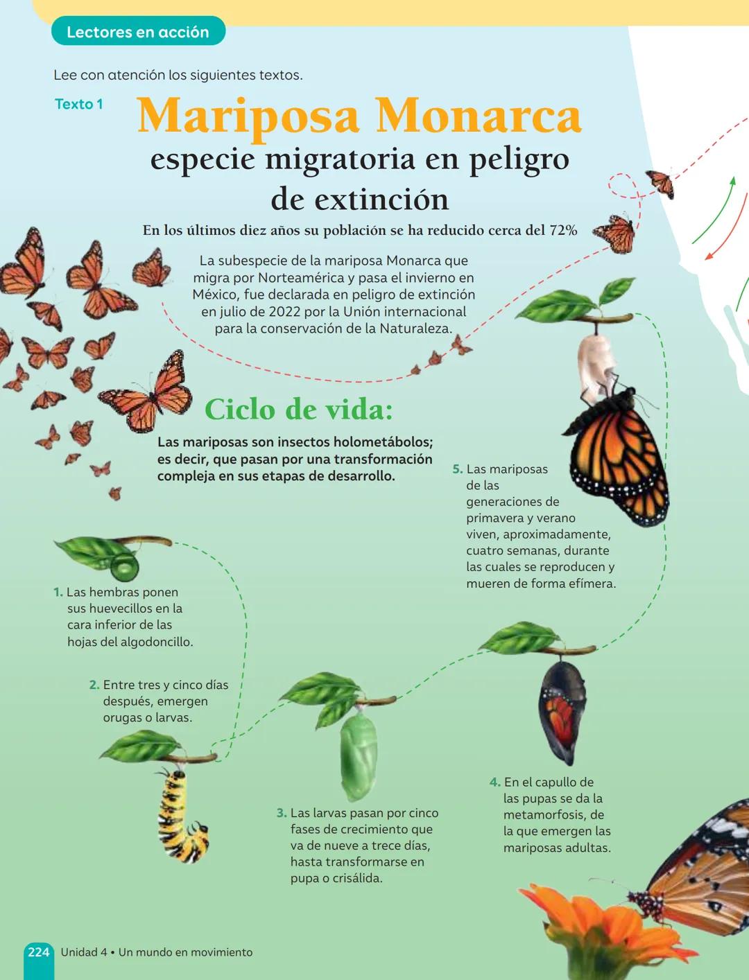 TEXTO DEL ESTUDIANTE
Lenguaje y
Comunicación
Fabián Fernández López
Cielo Ospina Canencio
Paula Rivera Donoso
Natalia Romero Quintanilla
Ant