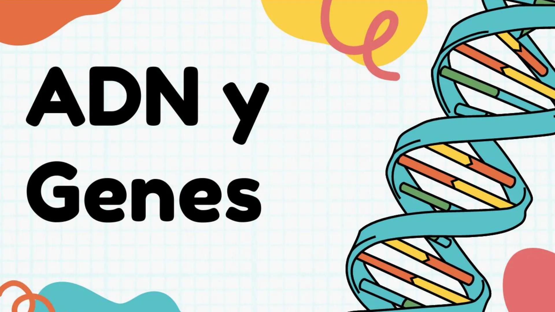 # ADN y
# Genes Cromosoma
Núcleo
Célula
ADN
¿Qué es el
ADN?
EI ADN (ácido desoxirribonucleico)
es material genético que se
encuentra e
