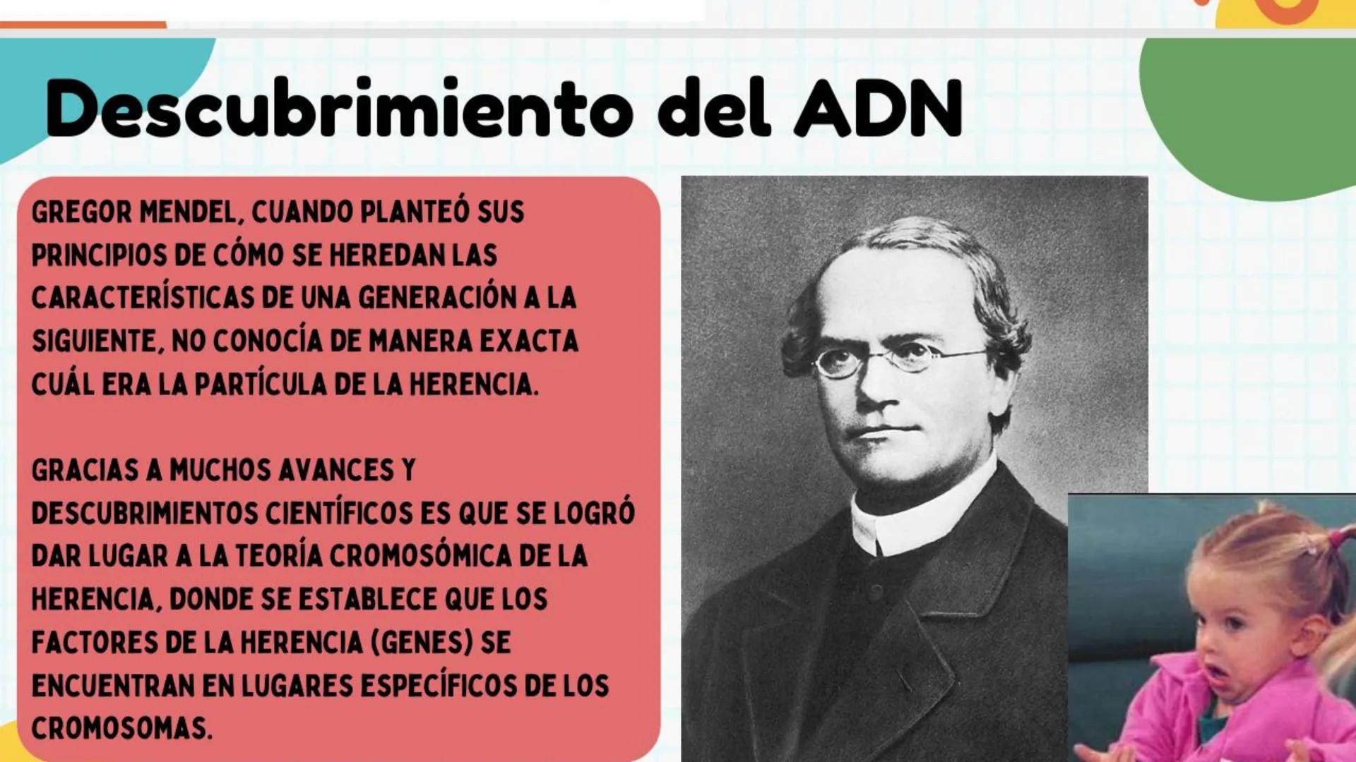 # ADN y
# Genes Cromosoma
Núcleo
Célula
ADN
¿Qué es el
ADN?
EI ADN (ácido desoxirribonucleico)
es material genético que se
encuentra e