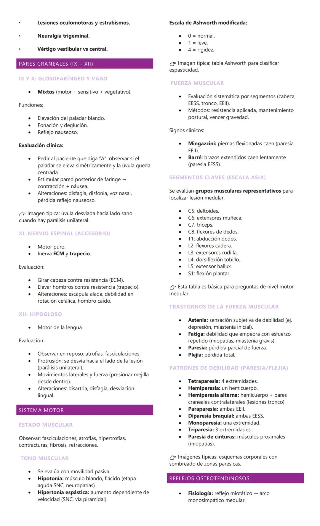 # EPIDEMIOLOGÍA Y CONCEPTOS BÁSICOS EN
NEUROLOGIA
1. EPIDEMIOLOGIA DE LAS PATOLOGÍAS
NEUROLÓGICAS
Afectan a toda la población, sin distinc