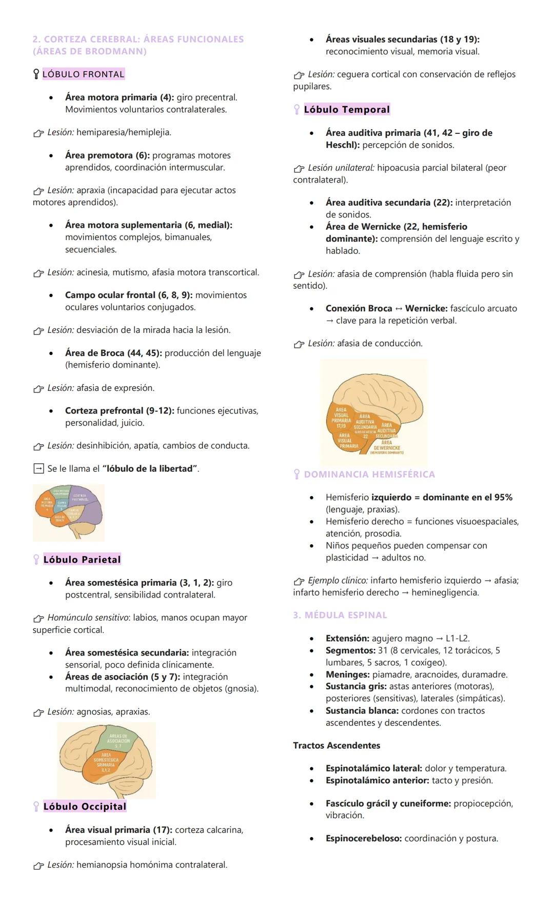 # EPIDEMIOLOGÍA Y CONCEPTOS BÁSICOS EN
NEUROLOGIA
1. EPIDEMIOLOGIA DE LAS PATOLOGÍAS
NEUROLÓGICAS
Afectan a toda la población, sin distinc