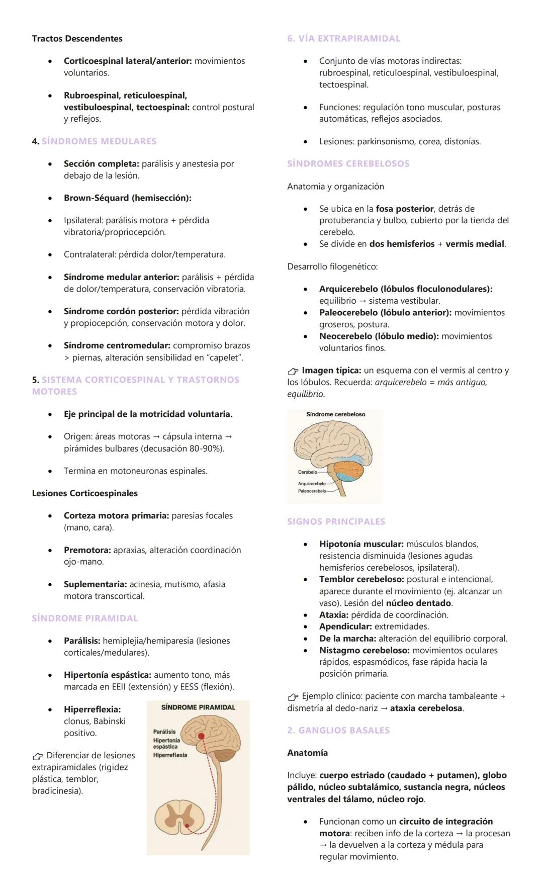# EPIDEMIOLOGÍA Y CONCEPTOS BÁSICOS EN
NEUROLOGIA
1. EPIDEMIOLOGIA DE LAS PATOLOGÍAS
NEUROLÓGICAS
Afectan a toda la población, sin distinc
