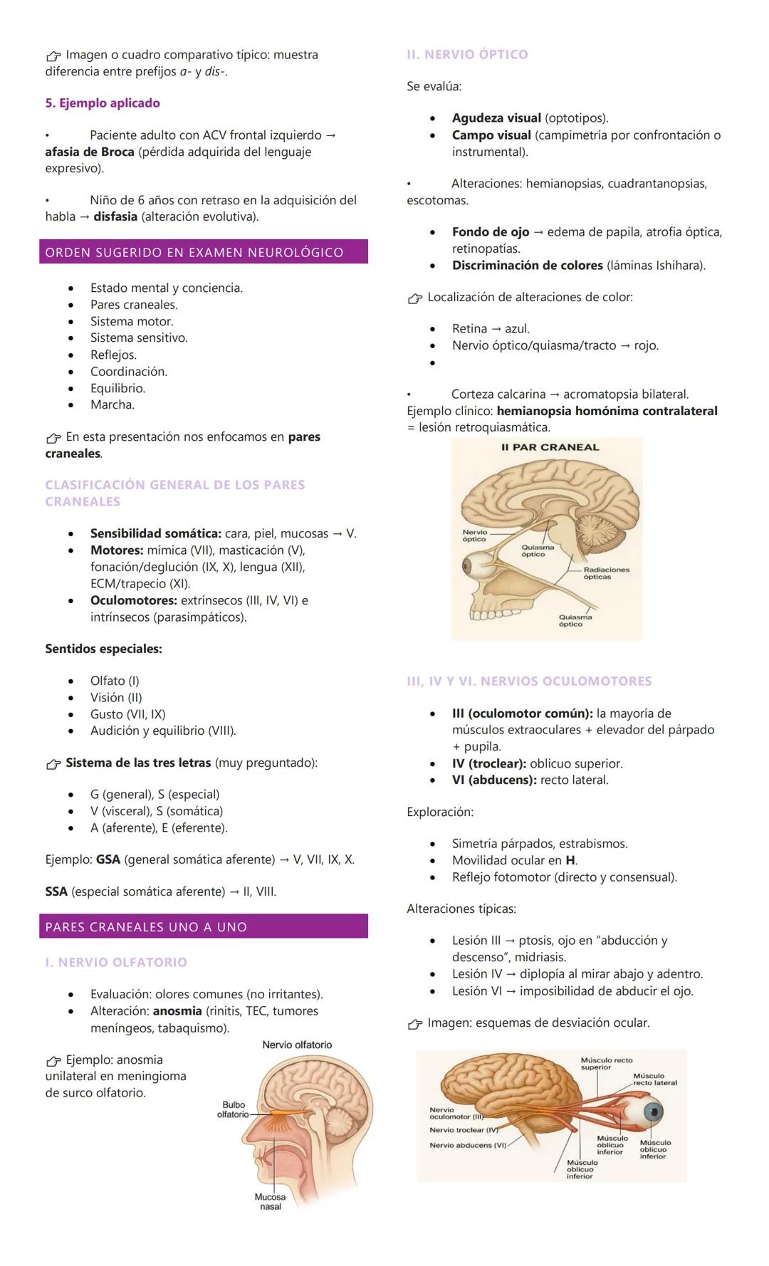 # EPIDEMIOLOGÍA Y CONCEPTOS BÁSICOS EN
NEUROLOGIA
1. EPIDEMIOLOGIA DE LAS PATOLOGÍAS
NEUROLÓGICAS
Afectan a toda la población, sin distinc