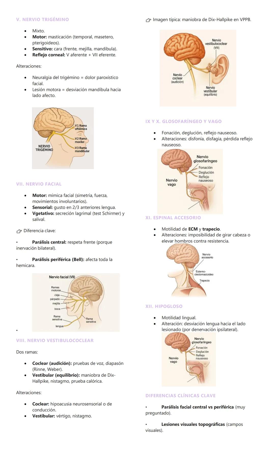 # EPIDEMIOLOGÍA Y CONCEPTOS BÁSICOS EN
NEUROLOGIA
1. EPIDEMIOLOGIA DE LAS PATOLOGÍAS
NEUROLÓGICAS
Afectan a toda la población, sin distinc