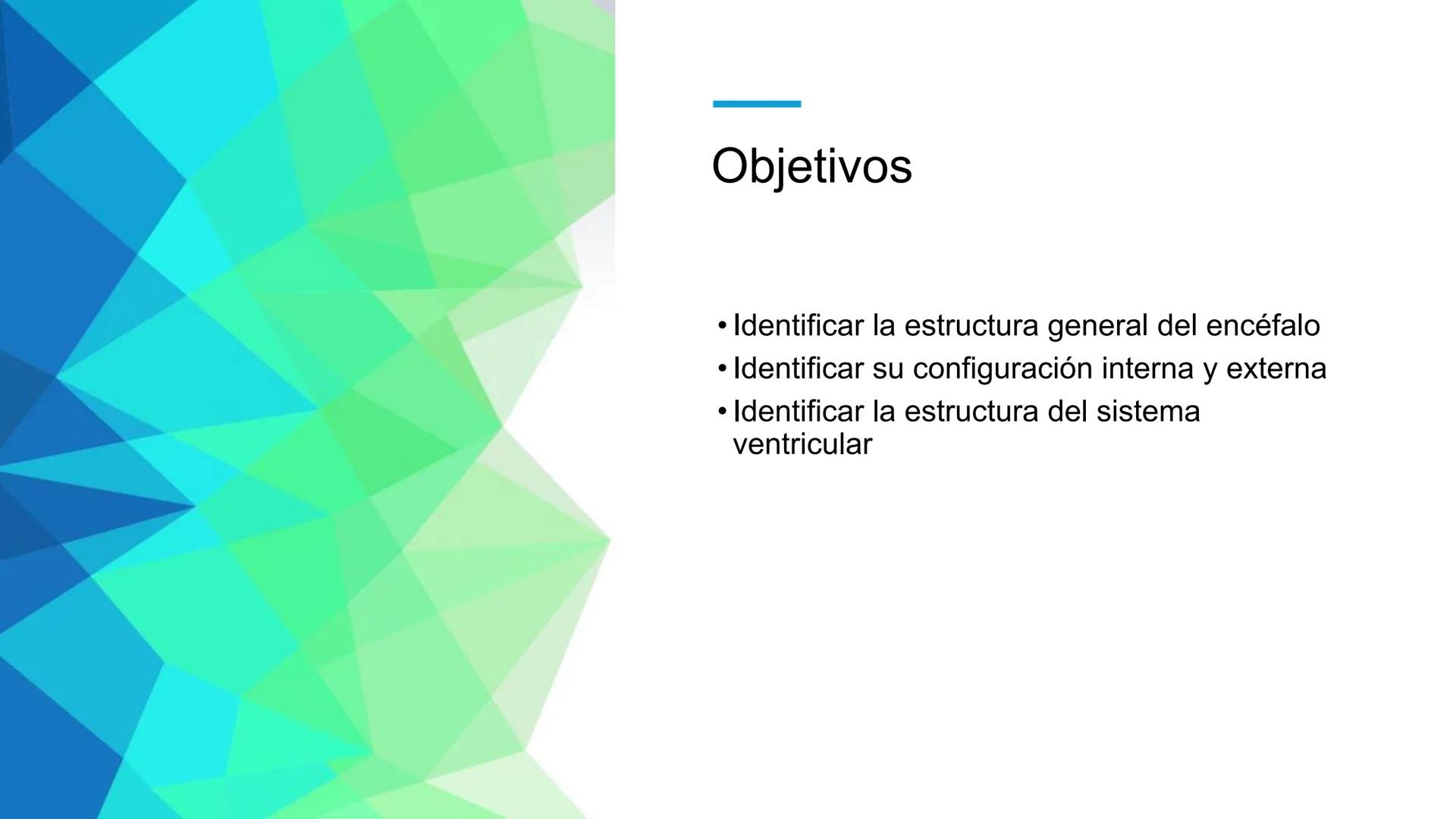E
Universidad
Central
Facultad de Medicina
y Ciencias de la Salud
Neuroanatomía:
Encéfalo
configuración
interna y externa
Equipo Anatomía