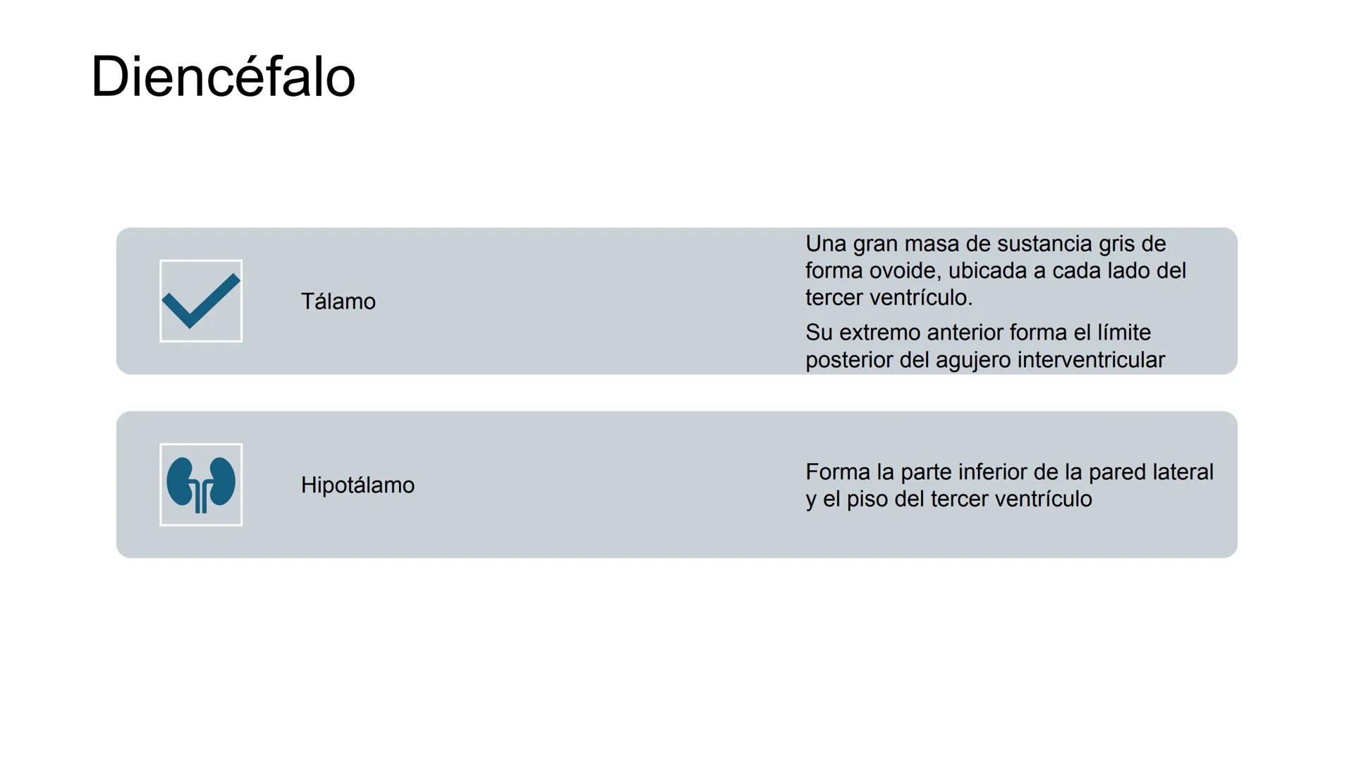 E
Universidad
Central
Facultad de Medicina
y Ciencias de la Salud
Neuroanatomía:
Encéfalo
configuración
interna y externa
Equipo Anatomía