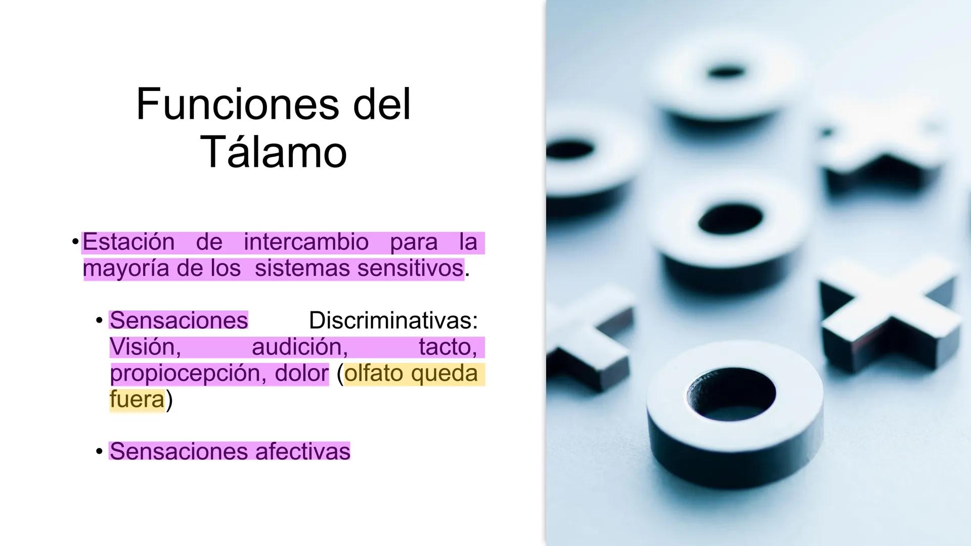 E
Universidad
Central
Facultad de Medicina
y Ciencias de la Salud
Neuroanatomía:
Encéfalo
configuración
interna y externa
Equipo Anatomía