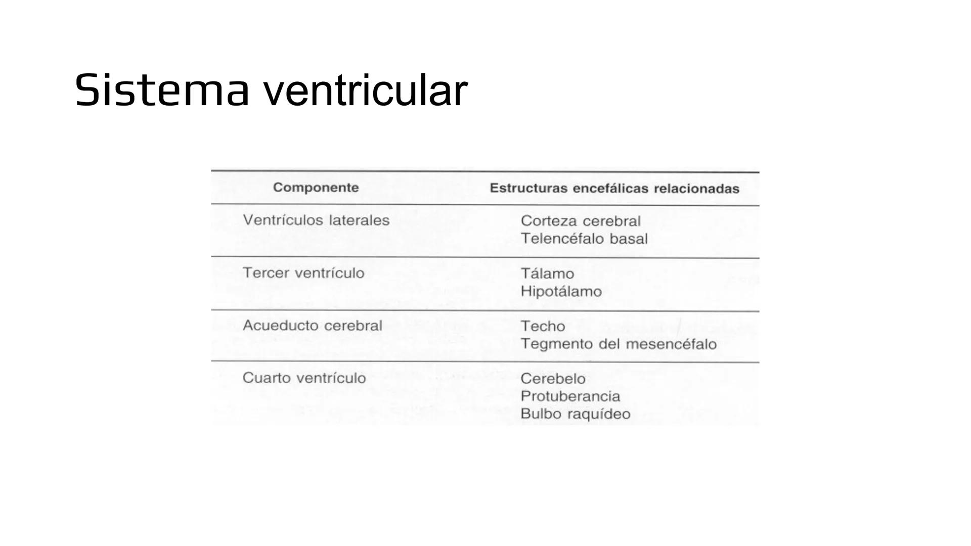 E
Universidad
Central
Facultad de Medicina
y Ciencias de la Salud
Neuroanatomía:
Encéfalo
configuración
interna y externa
Equipo Anatomía