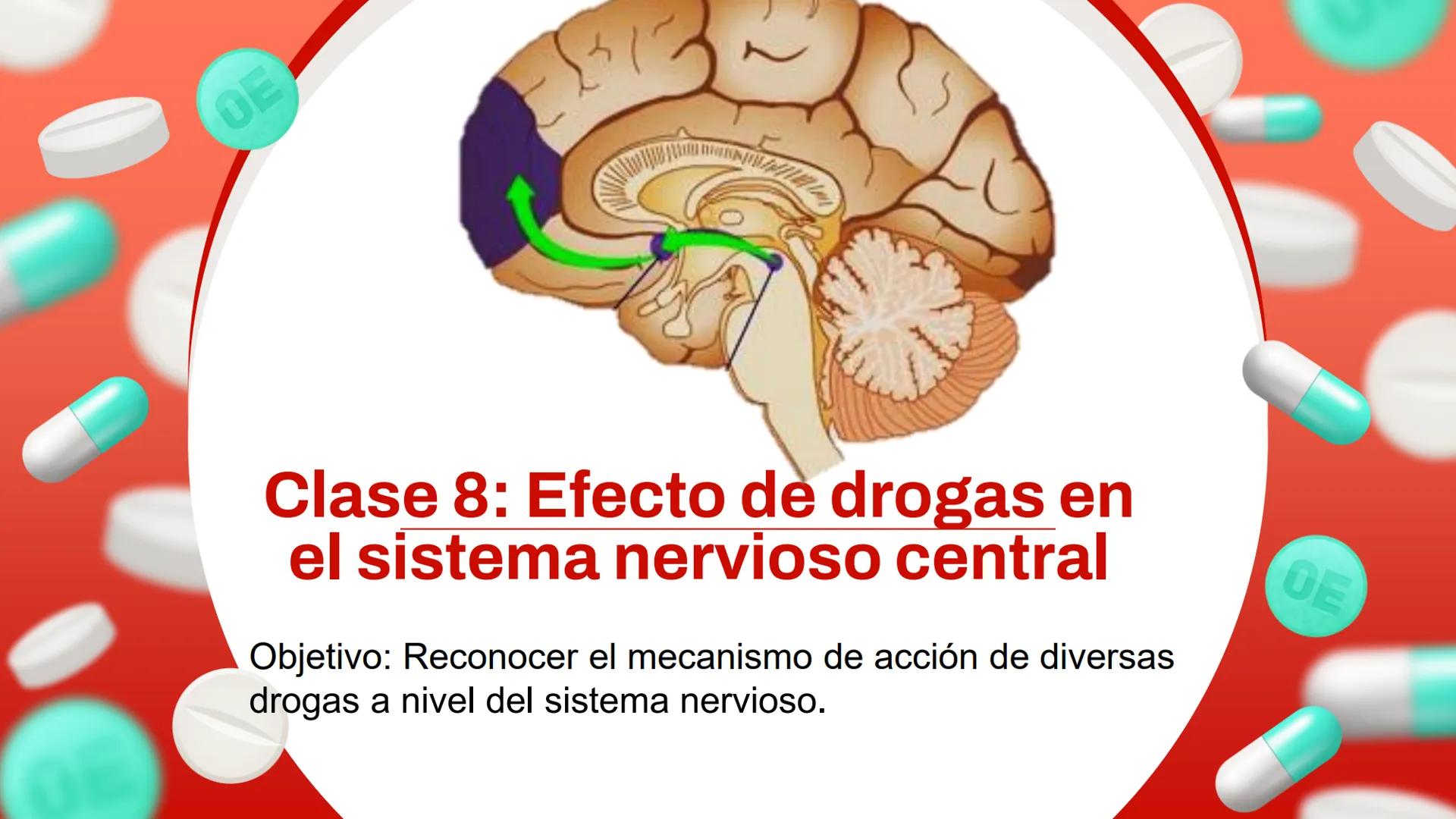 OE
Clase 8: Efecto de drogas en
el sistema nervioso central
Objetivo: Reconocer el mecanismo de acción de diversas
drogas a nivel del sist