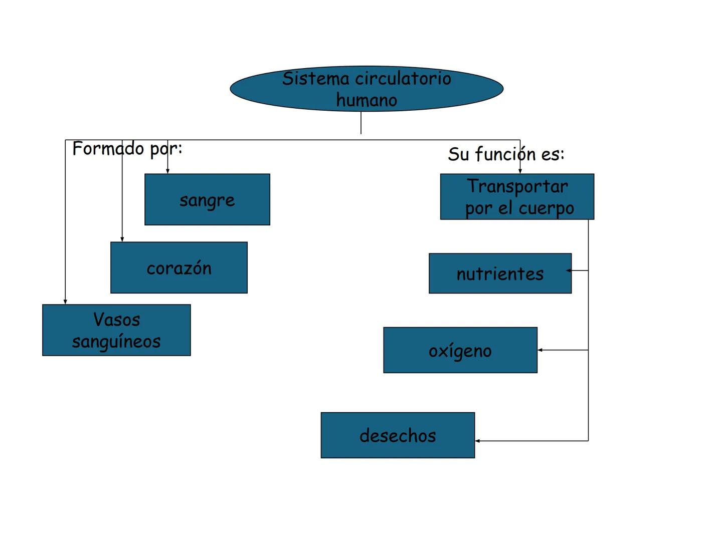 12.3
OA: Identificar los órganos del sistema circulatorio (corazón,
vasos sanguíneos y sangre) y explicar la función de transporte
de susta