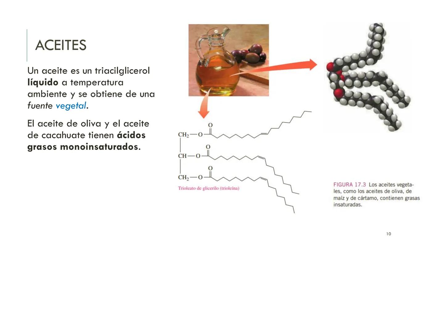 | BIOQUIMICA
Dra. Layla Simón
lsimon@uft.cl REPASO SOLEMNE 2
1. Química Orgánica
2. Enzimas
3. Introducción al metabolismo
4. Metabolismo