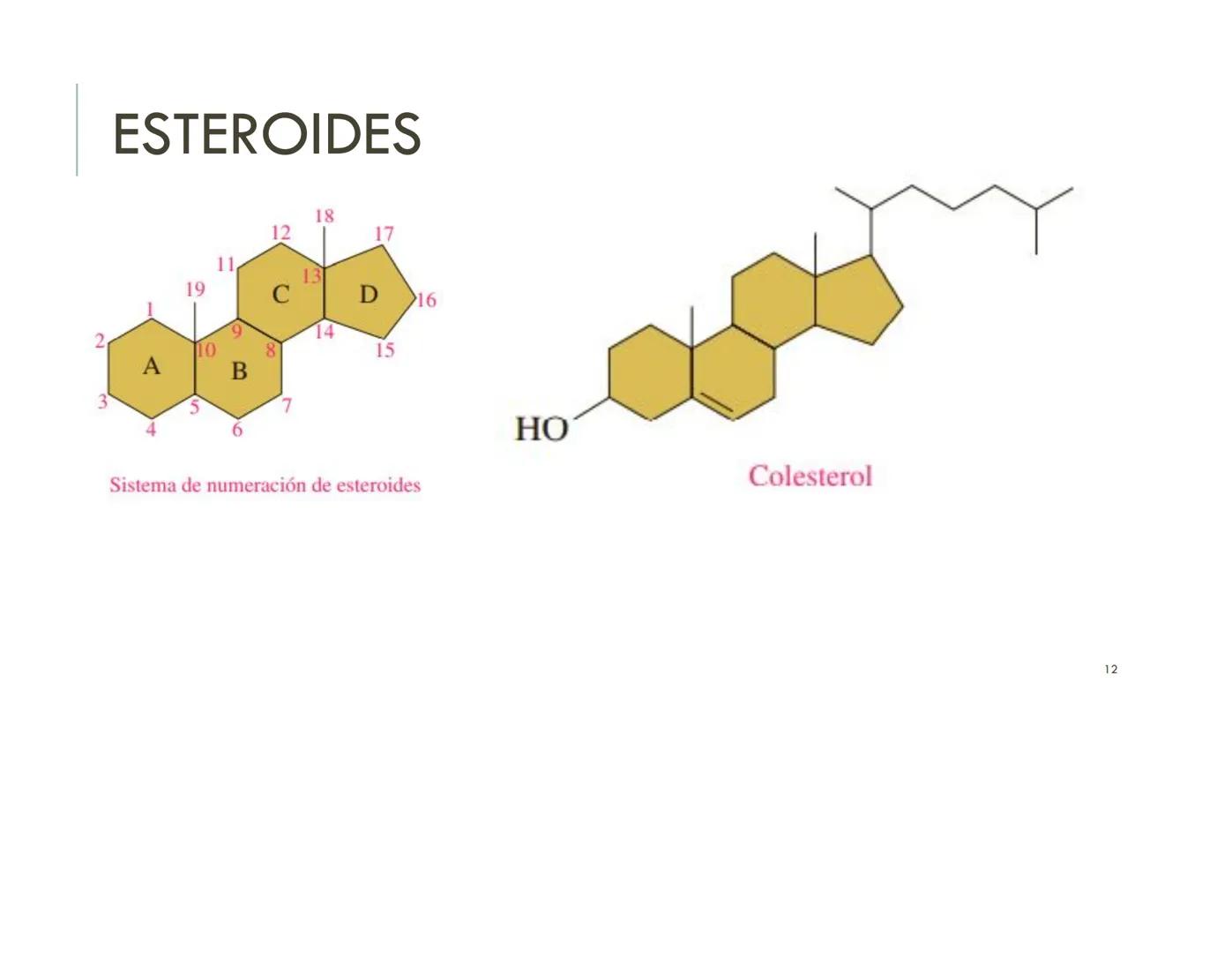 | BIOQUIMICA
Dra. Layla Simón
lsimon@uft.cl REPASO SOLEMNE 2
1. Química Orgánica
2. Enzimas
3. Introducción al metabolismo
4. Metabolismo