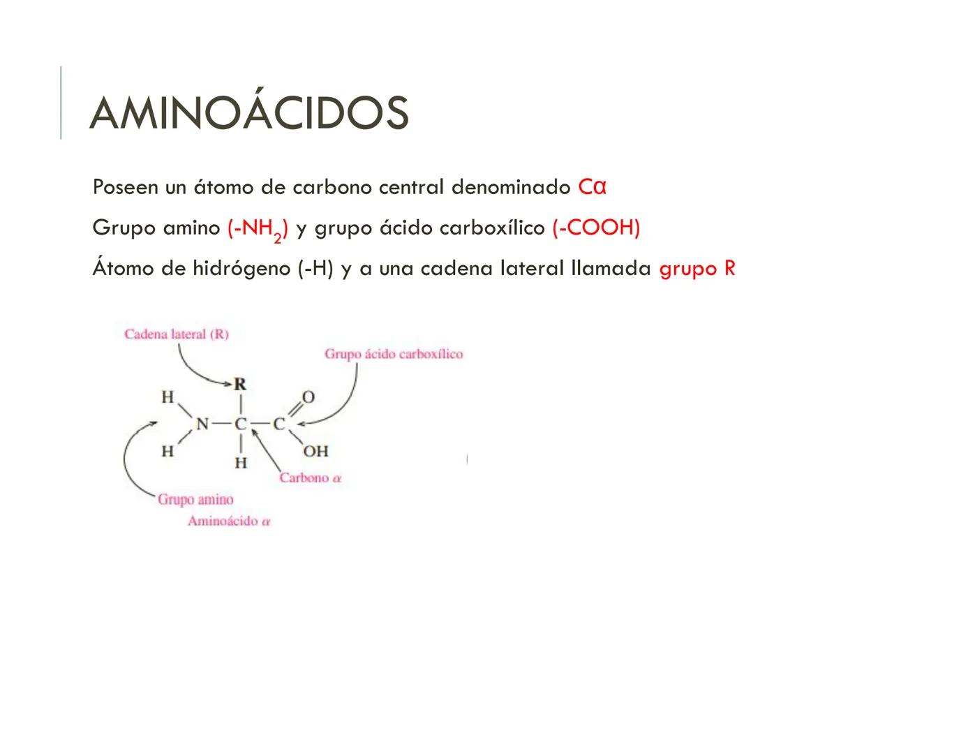 | BIOQUIMICA
Dra. Layla Simón
lsimon@uft.cl REPASO SOLEMNE 2
1. Química Orgánica
2. Enzimas
3. Introducción al metabolismo
4. Metabolismo