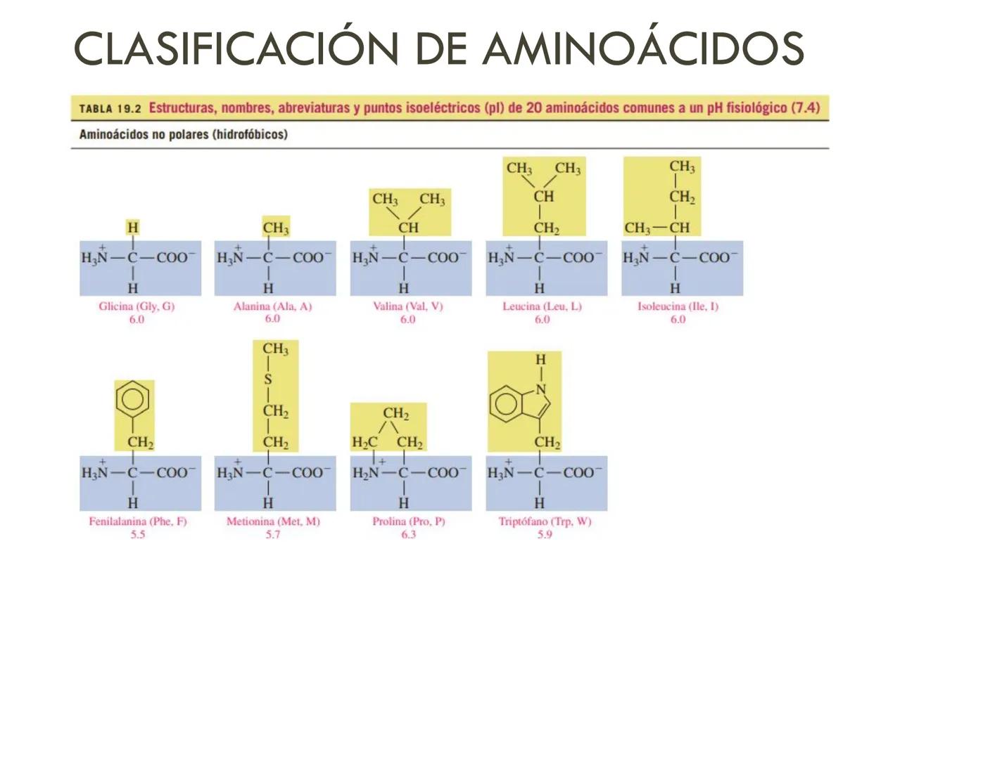 | BIOQUIMICA
Dra. Layla Simón
lsimon@uft.cl REPASO SOLEMNE 2
1. Química Orgánica
2. Enzimas
3. Introducción al metabolismo
4. Metabolismo