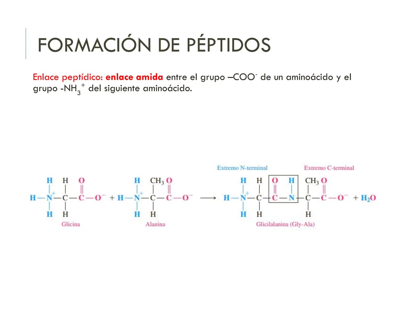 | BIOQUIMICA
Dra. Layla Simón
lsimon@uft.cl REPASO SOLEMNE 2
1. Química Orgánica
2. Enzimas
3. Introducción al metabolismo
4. Metabolismo