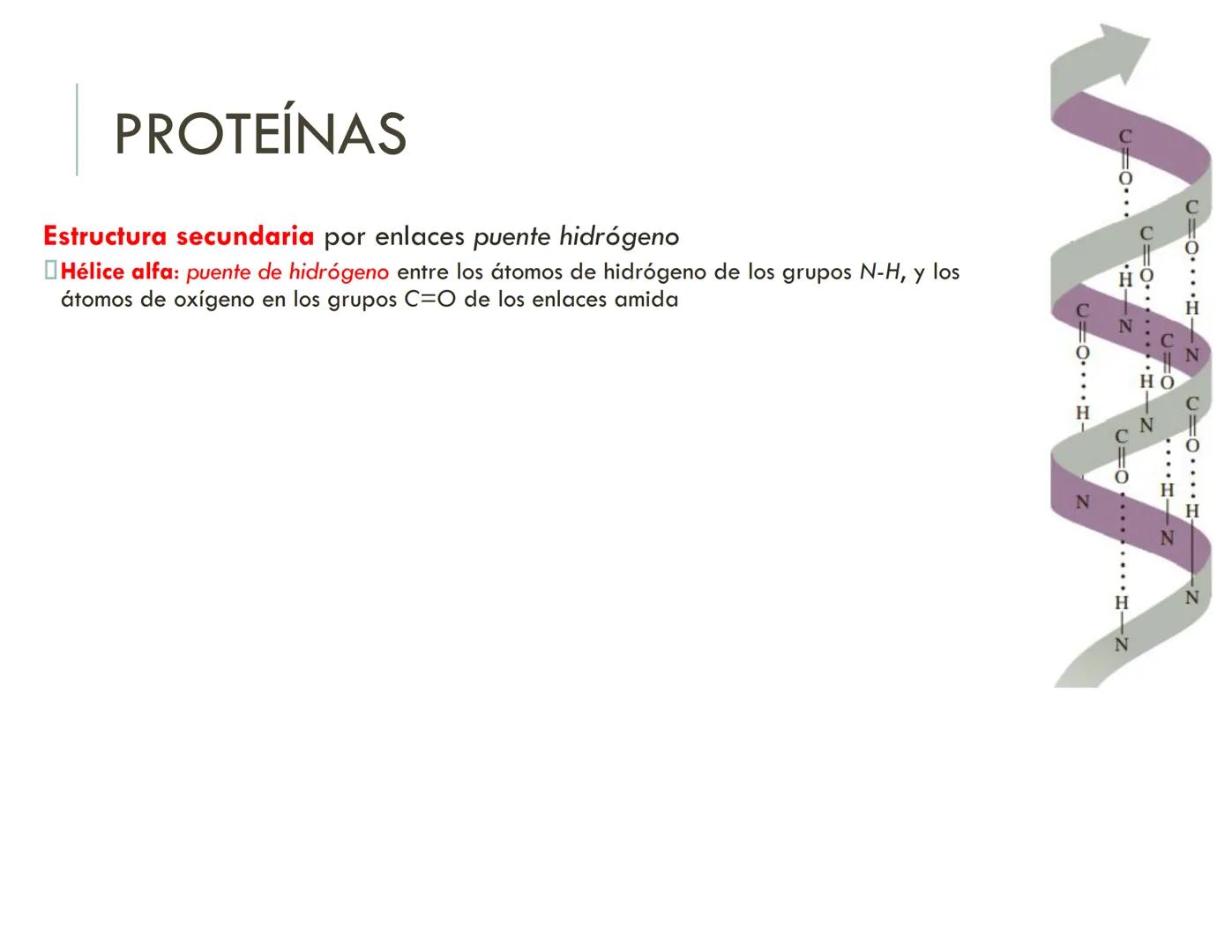 | BIOQUIMICA
Dra. Layla Simón
lsimon@uft.cl REPASO SOLEMNE 2
1. Química Orgánica
2. Enzimas
3. Introducción al metabolismo
4. Metabolismo