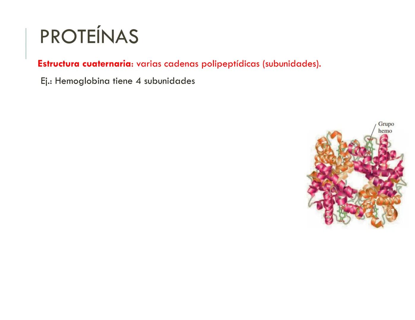 | BIOQUIMICA
Dra. Layla Simón
lsimon@uft.cl REPASO SOLEMNE 2
1. Química Orgánica
2. Enzimas
3. Introducción al metabolismo
4. Metabolismo