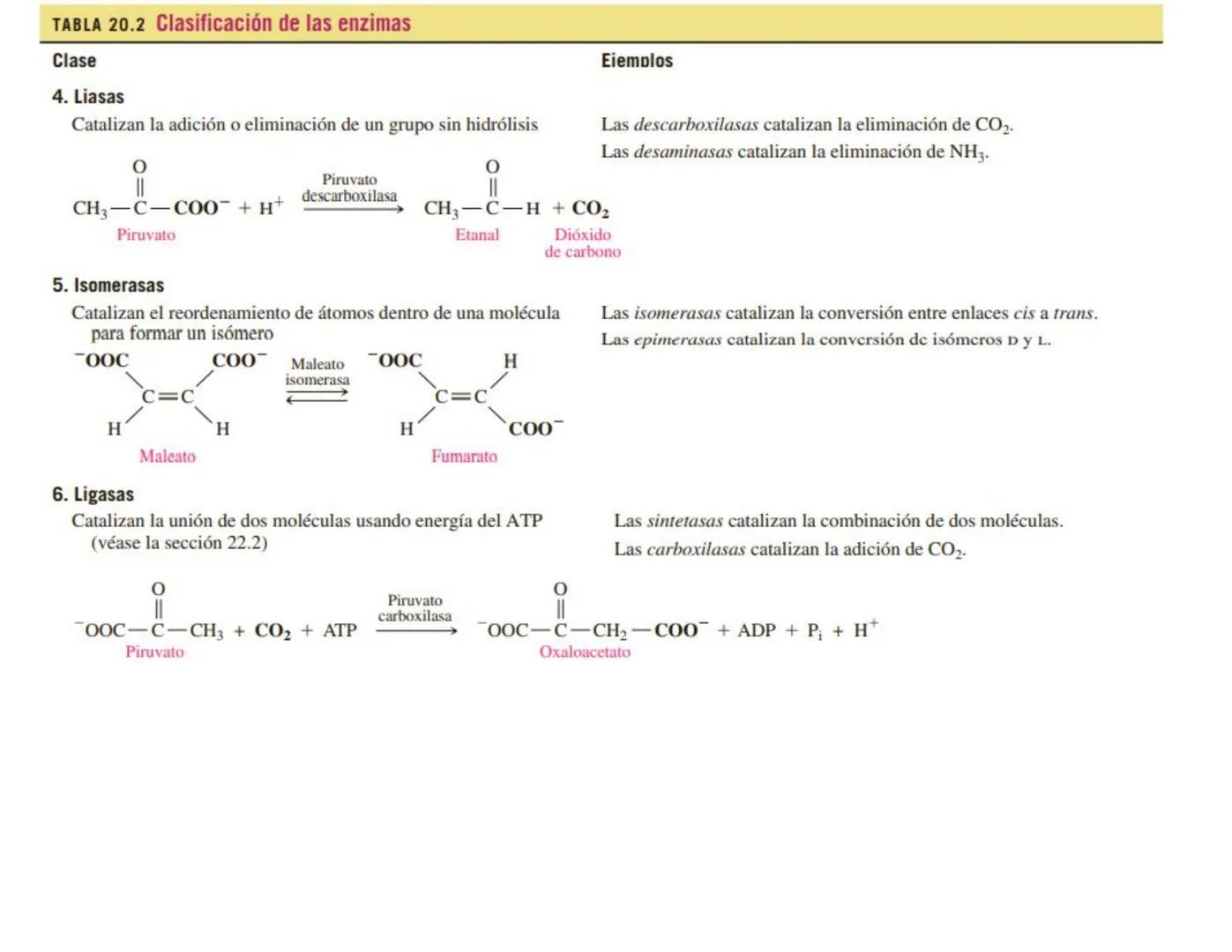 | BIOQUIMICA
Dra. Layla Simón
lsimon@uft.cl REPASO SOLEMNE 2
1. Química Orgánica
2. Enzimas
3. Introducción al metabolismo
4. Metabolismo