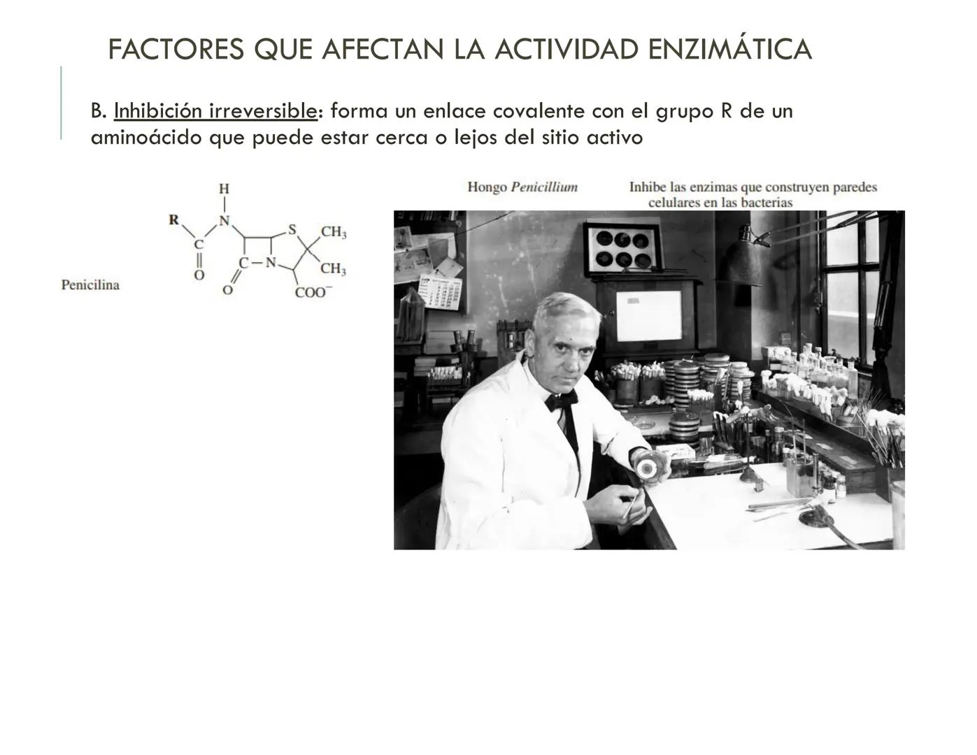 | BIOQUIMICA
Dra. Layla Simón
lsimon@uft.cl REPASO SOLEMNE 2
1. Química Orgánica
2. Enzimas
3. Introducción al metabolismo
4. Metabolismo