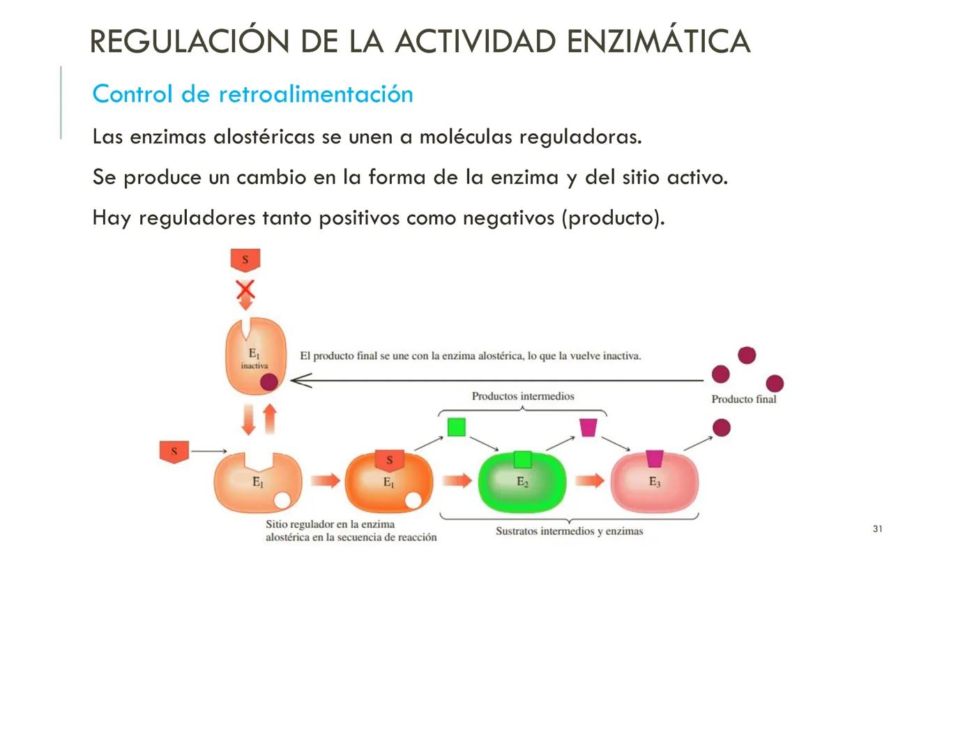 | BIOQUIMICA
Dra. Layla Simón
lsimon@uft.cl REPASO SOLEMNE 2
1. Química Orgánica
2. Enzimas
3. Introducción al metabolismo
4. Metabolismo