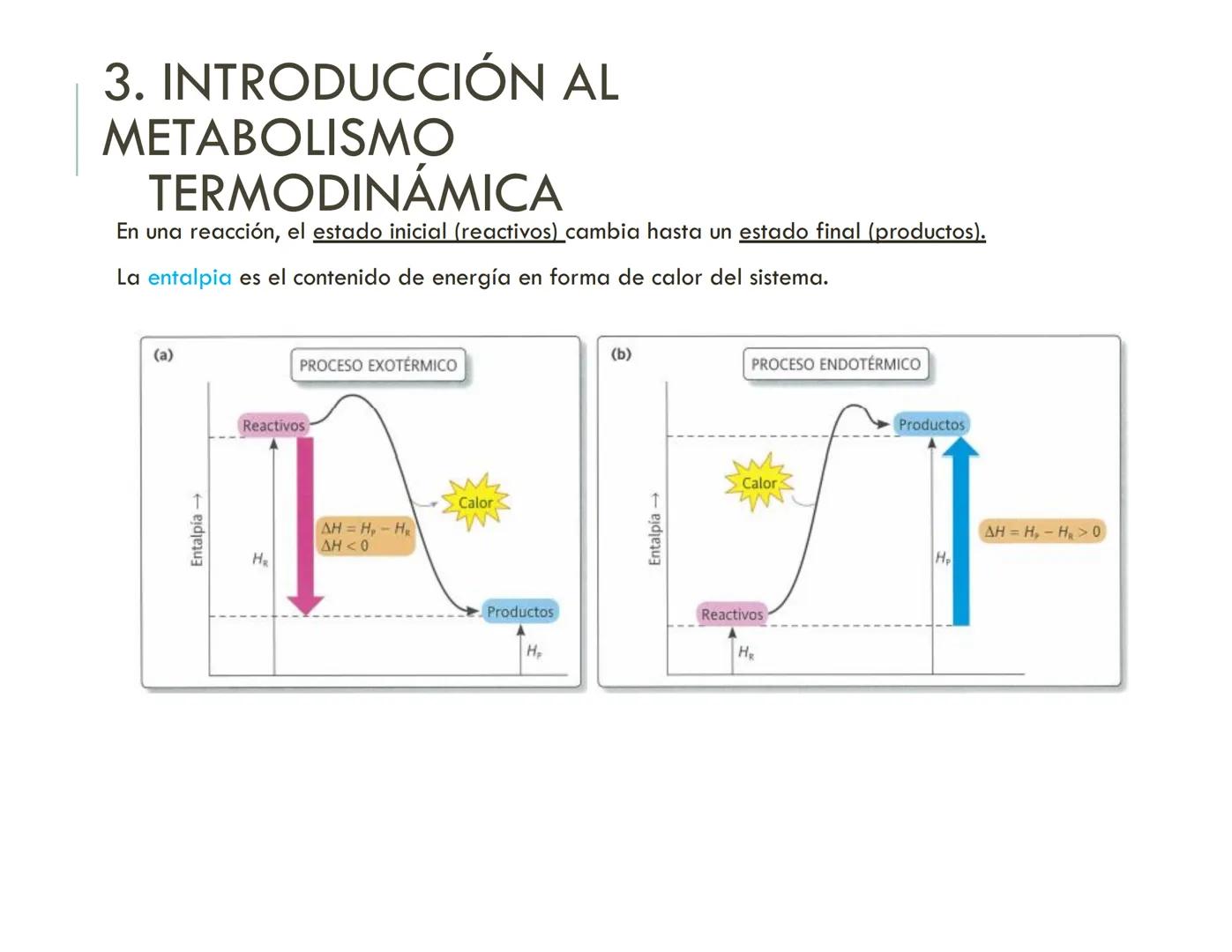 | BIOQUIMICA
Dra. Layla Simón
lsimon@uft.cl REPASO SOLEMNE 2
1. Química Orgánica
2. Enzimas
3. Introducción al metabolismo
4. Metabolismo