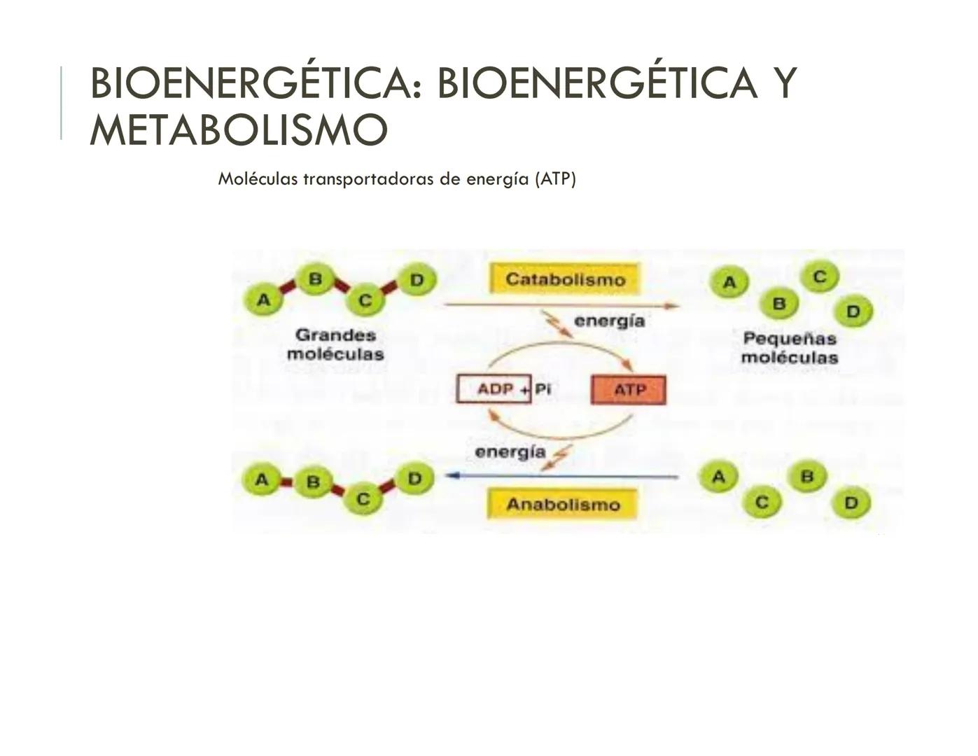 | BIOQUIMICA
Dra. Layla Simón
lsimon@uft.cl REPASO SOLEMNE 2
1. Química Orgánica
2. Enzimas
3. Introducción al metabolismo
4. Metabolismo
