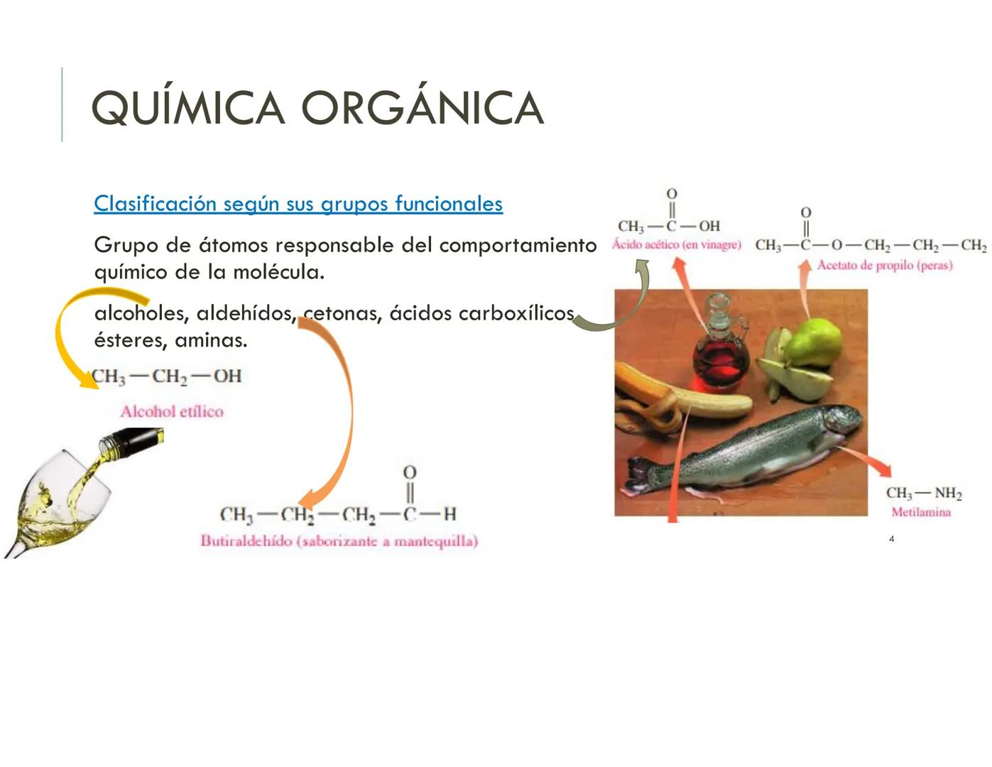| BIOQUIMICA
Dra. Layla Simón
lsimon@uft.cl REPASO SOLEMNE 2
1. Química Orgánica
2. Enzimas
3. Introducción al metabolismo
4. Metabolismo