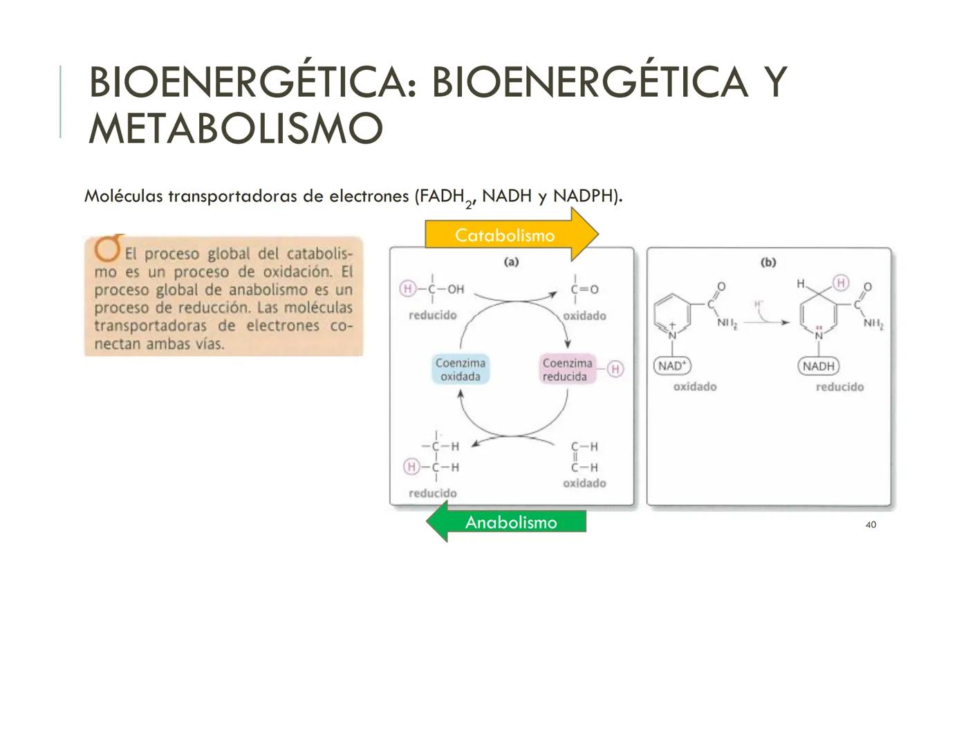 | BIOQUIMICA
Dra. Layla Simón
lsimon@uft.cl REPASO SOLEMNE 2
1. Química Orgánica
2. Enzimas
3. Introducción al metabolismo
4. Metabolismo