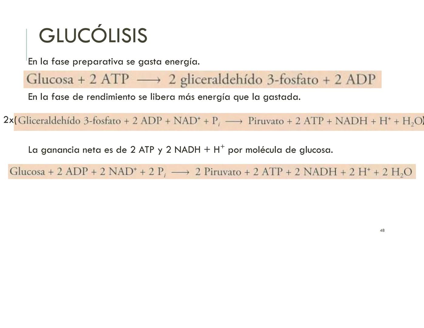 | BIOQUIMICA
Dra. Layla Simón
lsimon@uft.cl REPASO SOLEMNE 2
1. Química Orgánica
2. Enzimas
3. Introducción al metabolismo
4. Metabolismo