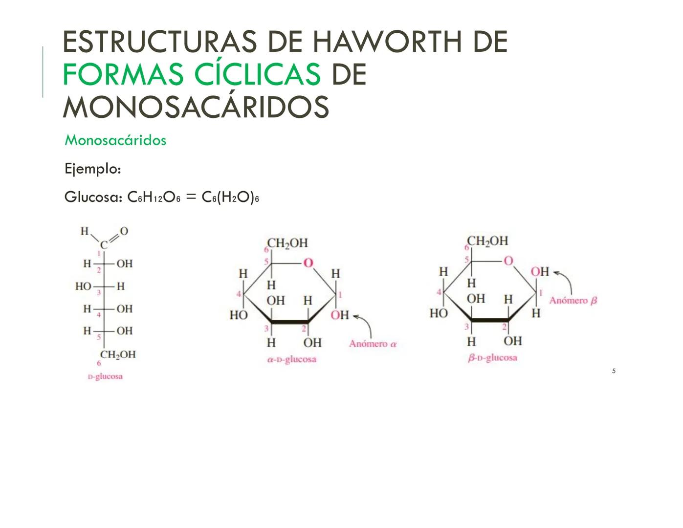 | BIOQUIMICA
Dra. Layla Simón
lsimon@uft.cl REPASO SOLEMNE 2
1. Química Orgánica
2. Enzimas
3. Introducción al metabolismo
4. Metabolismo