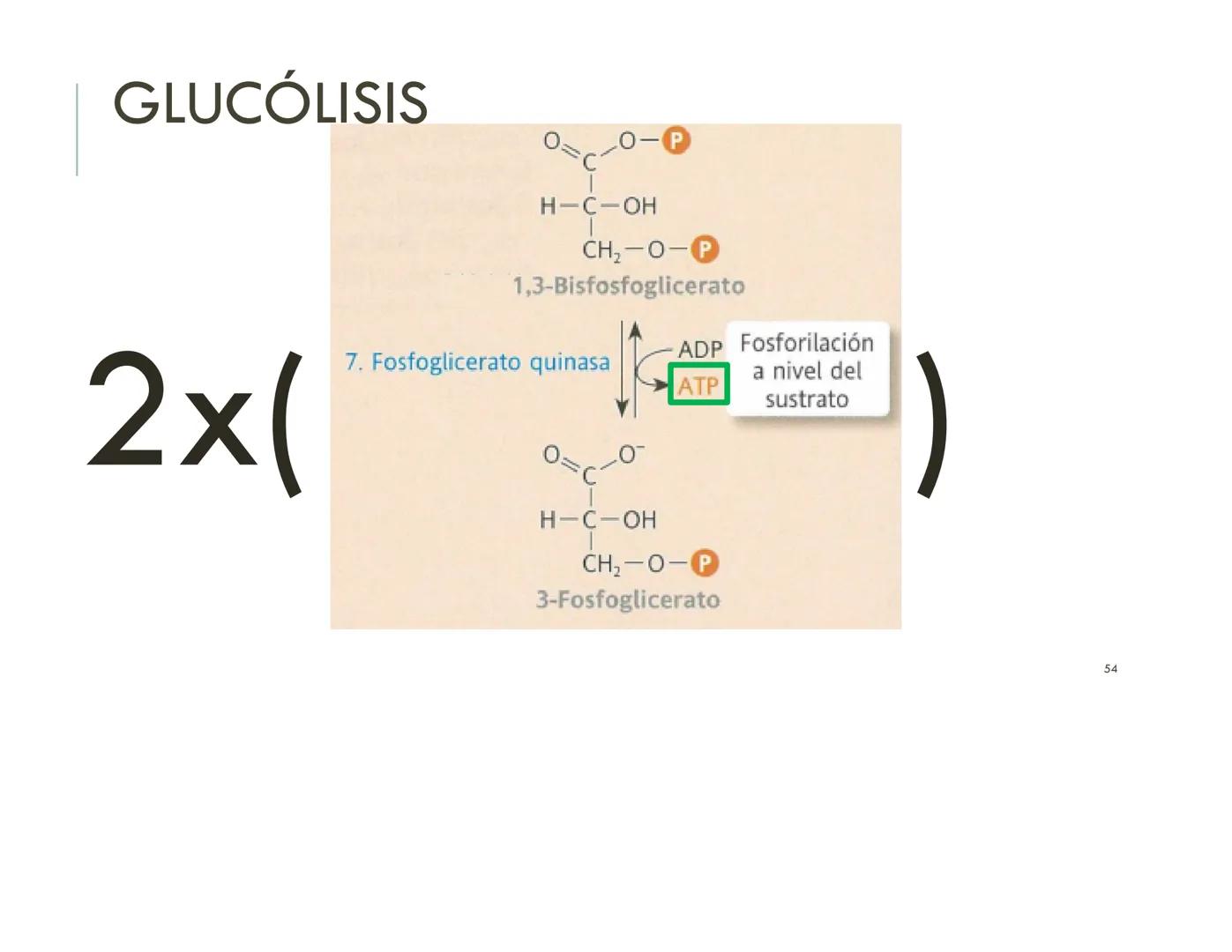 | BIOQUIMICA
Dra. Layla Simón
lsimon@uft.cl REPASO SOLEMNE 2
1. Química Orgánica
2. Enzimas
3. Introducción al metabolismo
4. Metabolismo