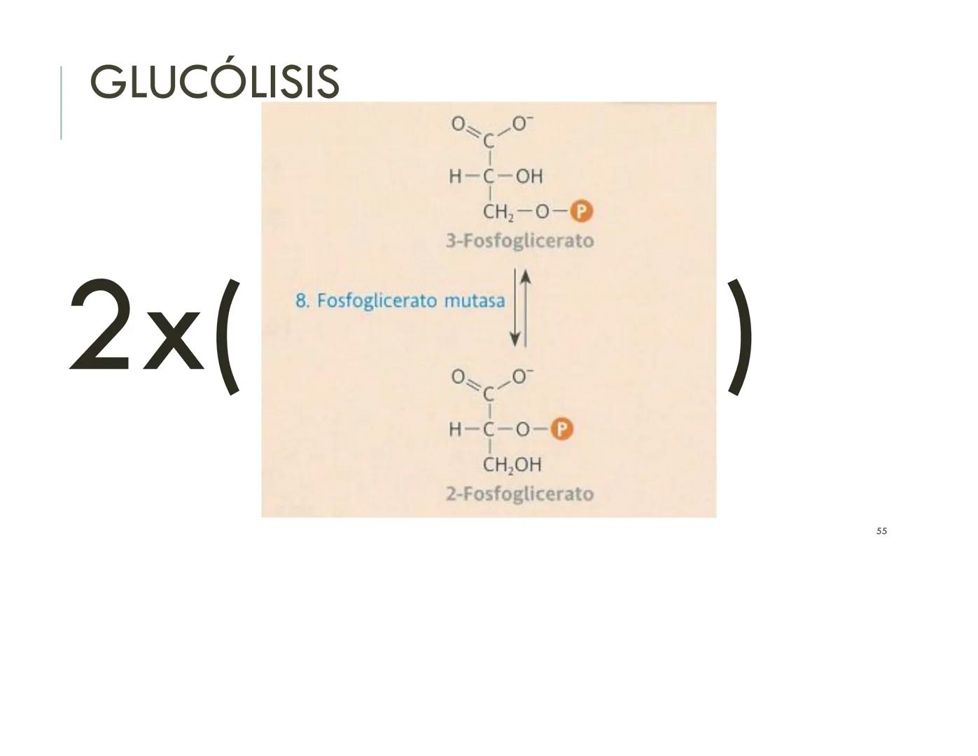 | BIOQUIMICA
Dra. Layla Simón
lsimon@uft.cl REPASO SOLEMNE 2
1. Química Orgánica
2. Enzimas
3. Introducción al metabolismo
4. Metabolismo