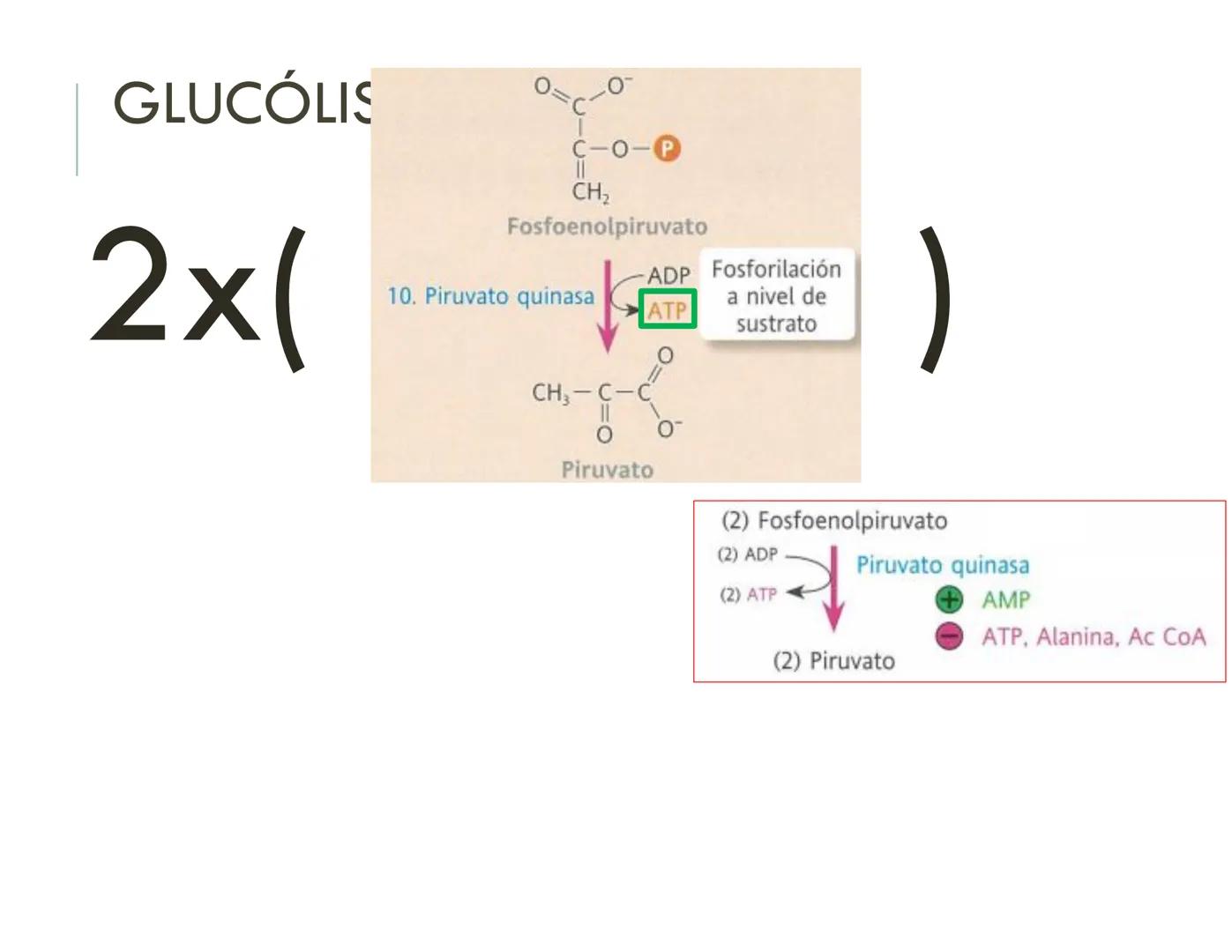 | BIOQUIMICA
Dra. Layla Simón
lsimon@uft.cl REPASO SOLEMNE 2
1. Química Orgánica
2. Enzimas
3. Introducción al metabolismo
4. Metabolismo