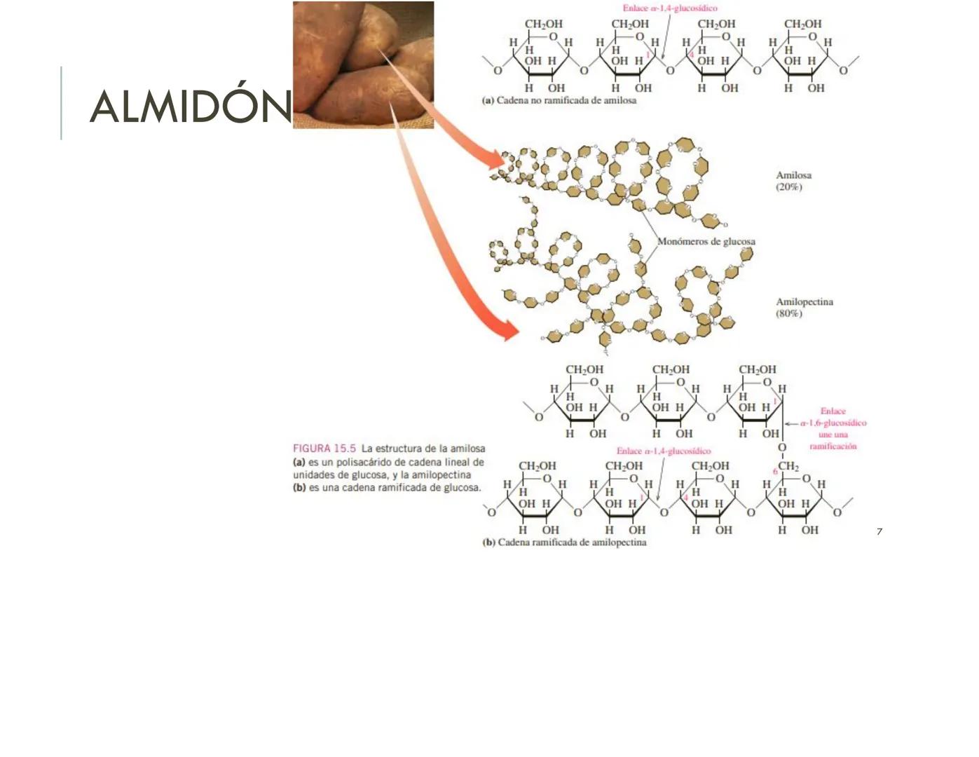 | BIOQUIMICA
Dra. Layla Simón
lsimon@uft.cl REPASO SOLEMNE 2
1. Química Orgánica
2. Enzimas
3. Introducción al metabolismo
4. Metabolismo