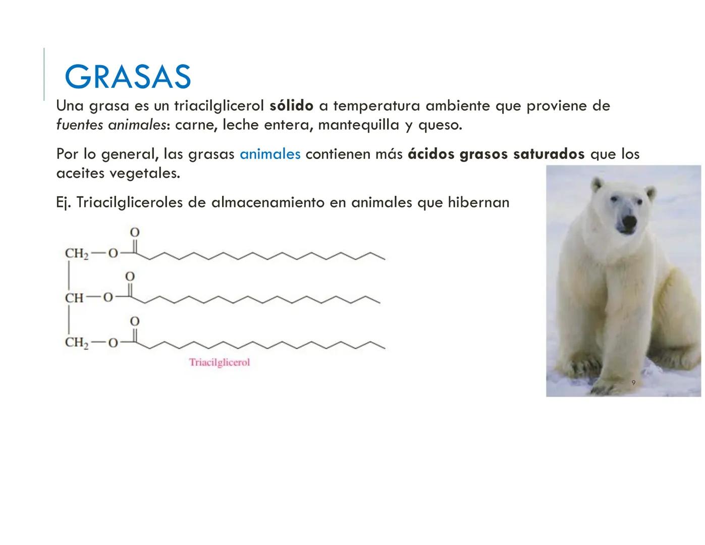 | BIOQUIMICA
Dra. Layla Simón
lsimon@uft.cl REPASO SOLEMNE 2
1. Química Orgánica
2. Enzimas
3. Introducción al metabolismo
4. Metabolismo