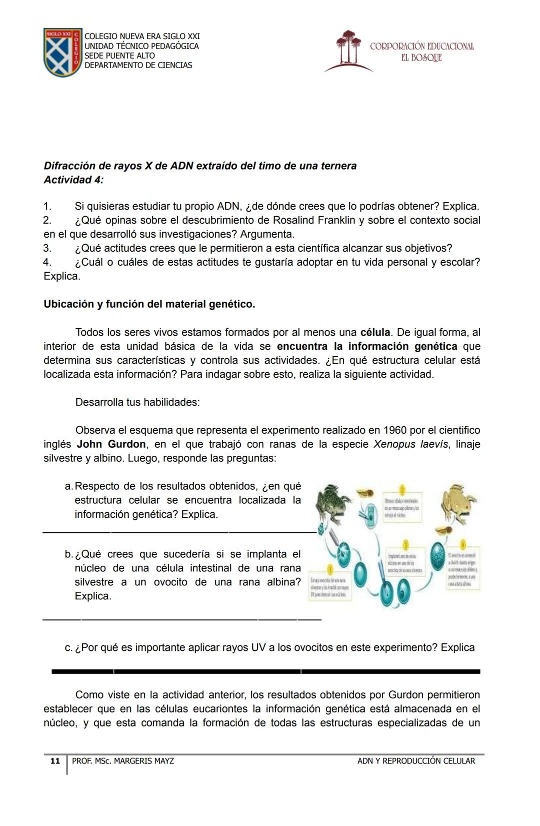 COLEGIO NUEVA ERA SIGLO XXI
UNIDAD TÉCNICO PEDAGÓGICA
SEDE PUENTE ALTO
DEPARTAMENTO DE CIENCIAS
CORPORACIÓN EDUCACIONAL
EL BOSQUE
# MATERI