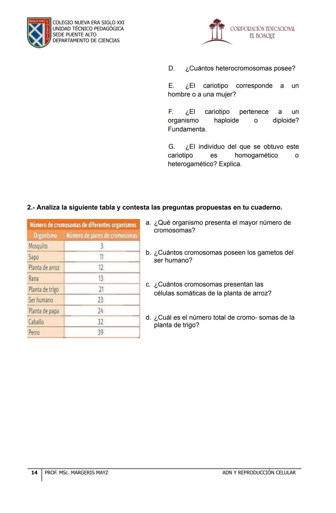 COLEGIO NUEVA ERA SIGLO XXI
UNIDAD TÉCNICO PEDAGÓGICA
SEDE PUENTE ALTO
DEPARTAMENTO DE CIENCIAS
CORPORACIÓN EDUCACIONAL
EL BOSQUE
# MATERI