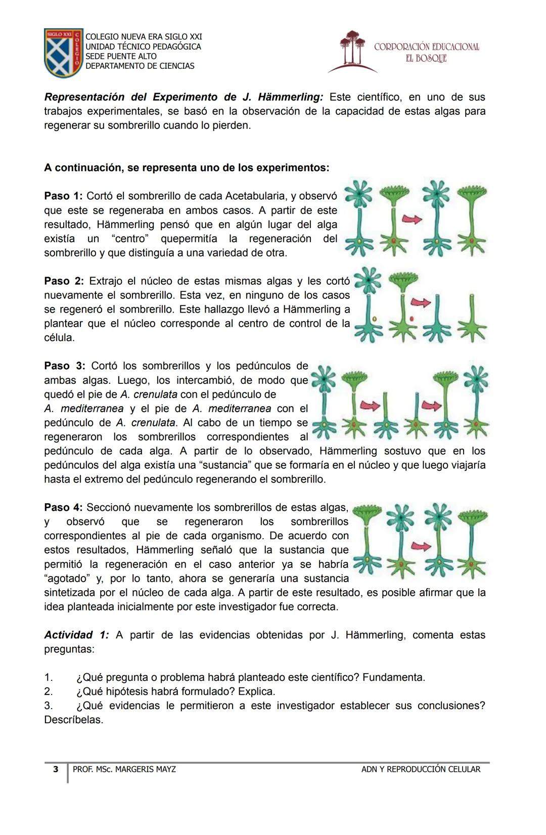 COLEGIO NUEVA ERA SIGLO XXI
UNIDAD TÉCNICO PEDAGÓGICA
SEDE PUENTE ALTO
DEPARTAMENTO DE CIENCIAS
CORPORACIÓN EDUCACIONAL
EL BOSQUE
# MATERI