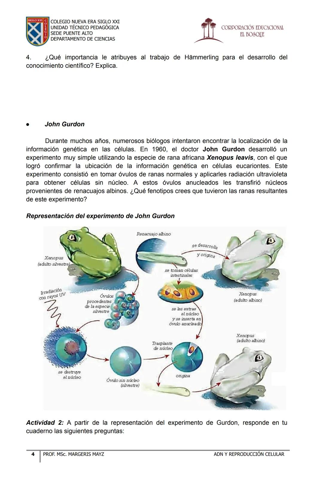 COLEGIO NUEVA ERA SIGLO XXI
UNIDAD TÉCNICO PEDAGÓGICA
SEDE PUENTE ALTO
DEPARTAMENTO DE CIENCIAS
CORPORACIÓN EDUCACIONAL
EL BOSQUE
# MATERI