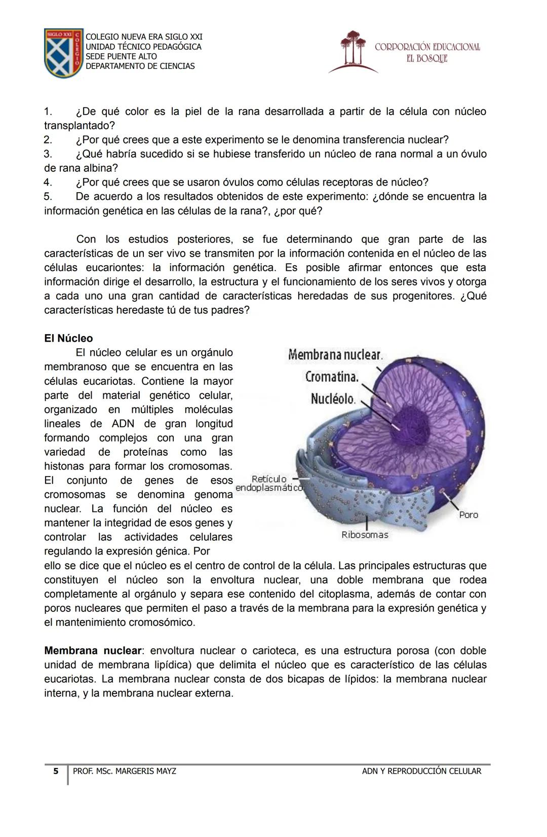 COLEGIO NUEVA ERA SIGLO XXI
UNIDAD TÉCNICO PEDAGÓGICA
SEDE PUENTE ALTO
DEPARTAMENTO DE CIENCIAS
CORPORACIÓN EDUCACIONAL
EL BOSQUE
# MATERI