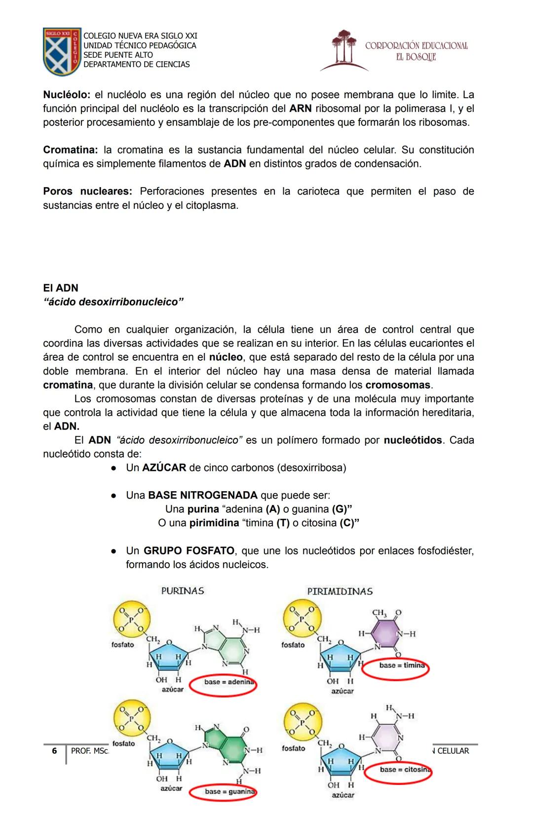 COLEGIO NUEVA ERA SIGLO XXI
UNIDAD TÉCNICO PEDAGÓGICA
SEDE PUENTE ALTO
DEPARTAMENTO DE CIENCIAS
CORPORACIÓN EDUCACIONAL
EL BOSQUE
# MATERI