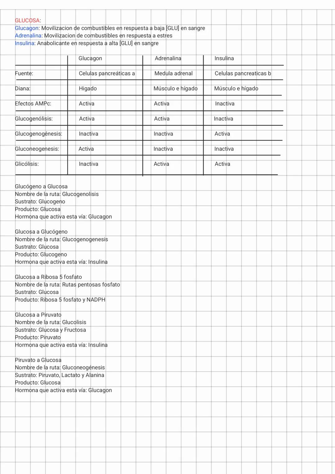 Glucosa
Glucosa
Bypass 3
Glucosa 6 fosfato
Fructosa 6 fosfato
Bypass 2
fructosa 1,6 bifosfato
Ribasa 5 fosfato
Fosfoenolpiruvato
Bypass 1
ox