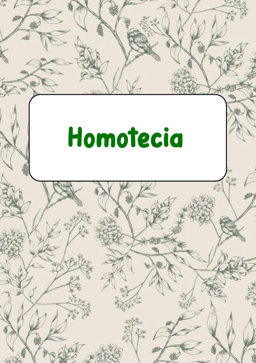 Homotecia
