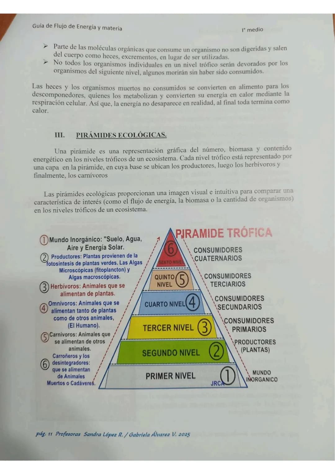# ECOLOGÍA
Energia lumin
HC
2000
20000 año
Energis almacenada
coma blamasa
GUÍA DE ESTUDIO
"FLUJO DE ENERGIA
MATERIA EN
LOS ECOSISTEMASS
Col