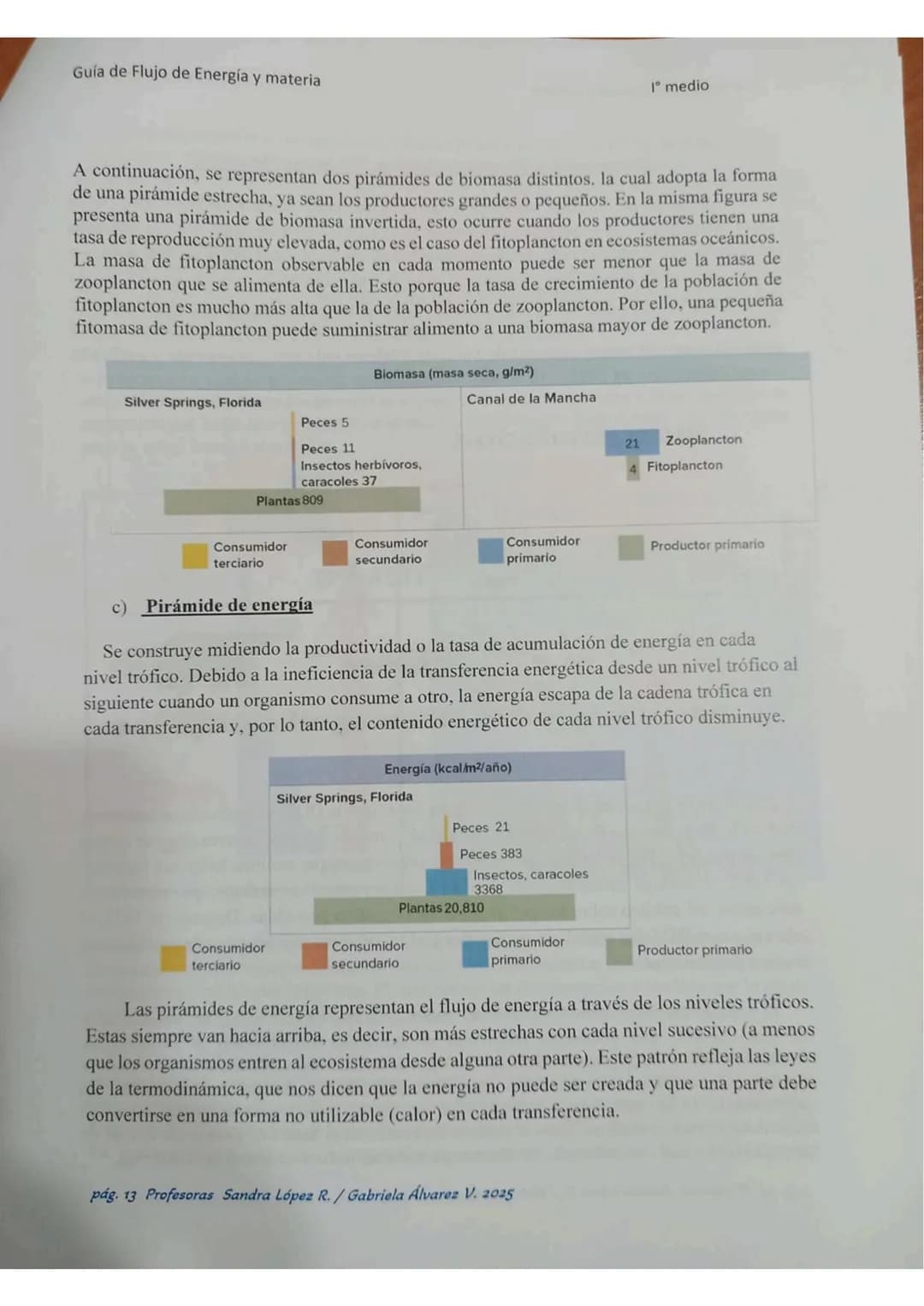 # ECOLOGÍA
Energia lumin
HC
2000
20000 año
Energis almacenada
coma blamasa
GUÍA DE ESTUDIO
"FLUJO DE ENERGIA
MATERIA EN
LOS ECOSISTEMASS
Col