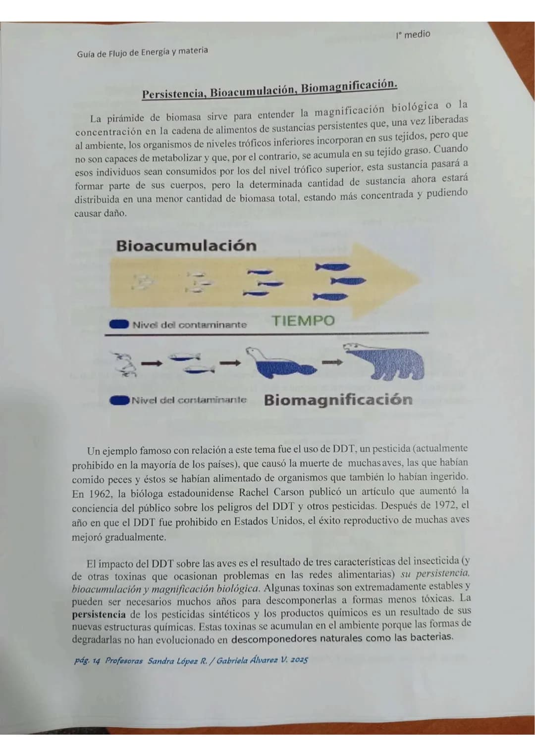# ECOLOGÍA
Energia lumin
HC
2000
20000 año
Energis almacenada
coma blamasa
GUÍA DE ESTUDIO
"FLUJO DE ENERGIA
MATERIA EN
LOS ECOSISTEMASS
Col