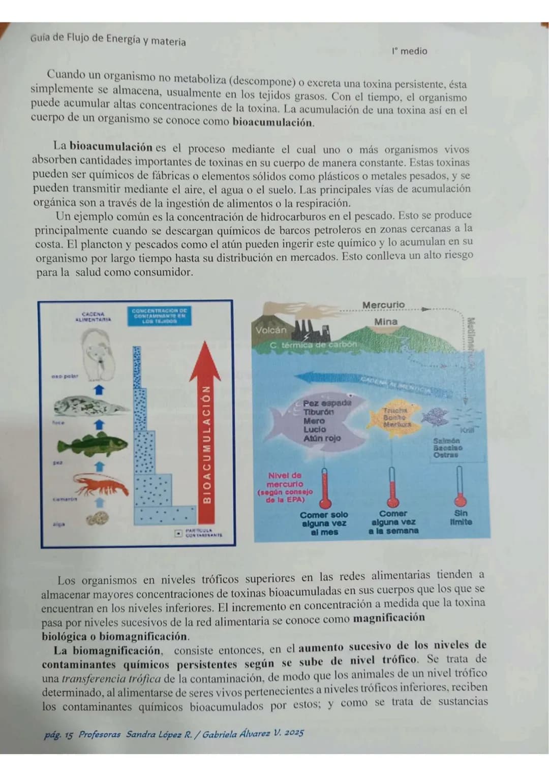 # ECOLOGÍA
Energia lumin
HC
2000
20000 año
Energis almacenada
coma blamasa
GUÍA DE ESTUDIO
"FLUJO DE ENERGIA
MATERIA EN
LOS ECOSISTEMASS
Col